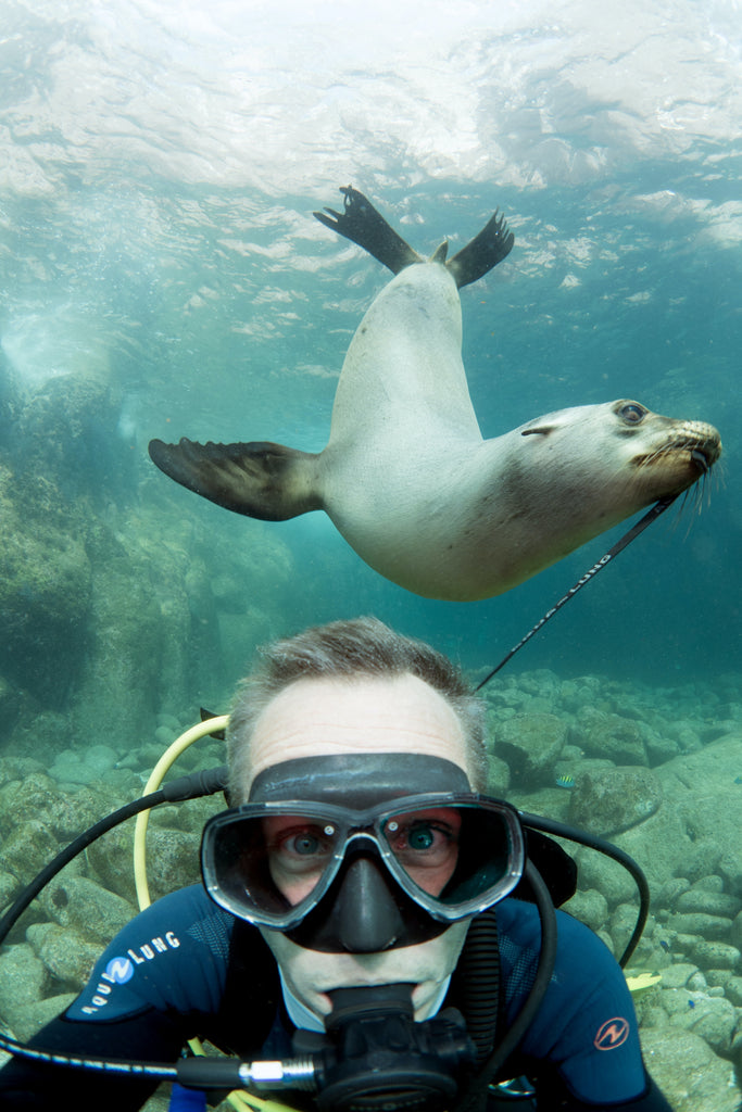 Perfecting Your Underwater Photography: From Selfies to Stunning Portraits 🌊📷