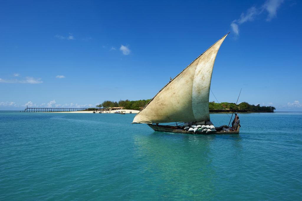 Discover the Enchanted Beauty of Zanzibar: A Journey Through History, Culture, and Marine Wonders