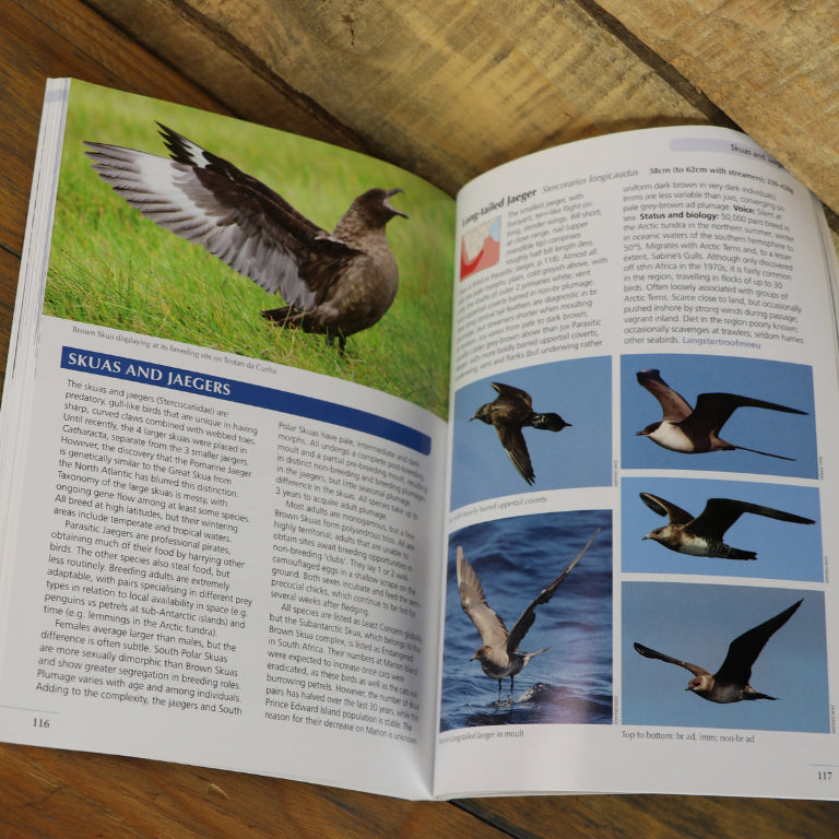 Gardening Books - Guide To Seabirds Of Southern Africa